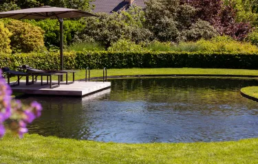 Organische zwemvijver met zonneterras aan klassieke villa te Bonheiden